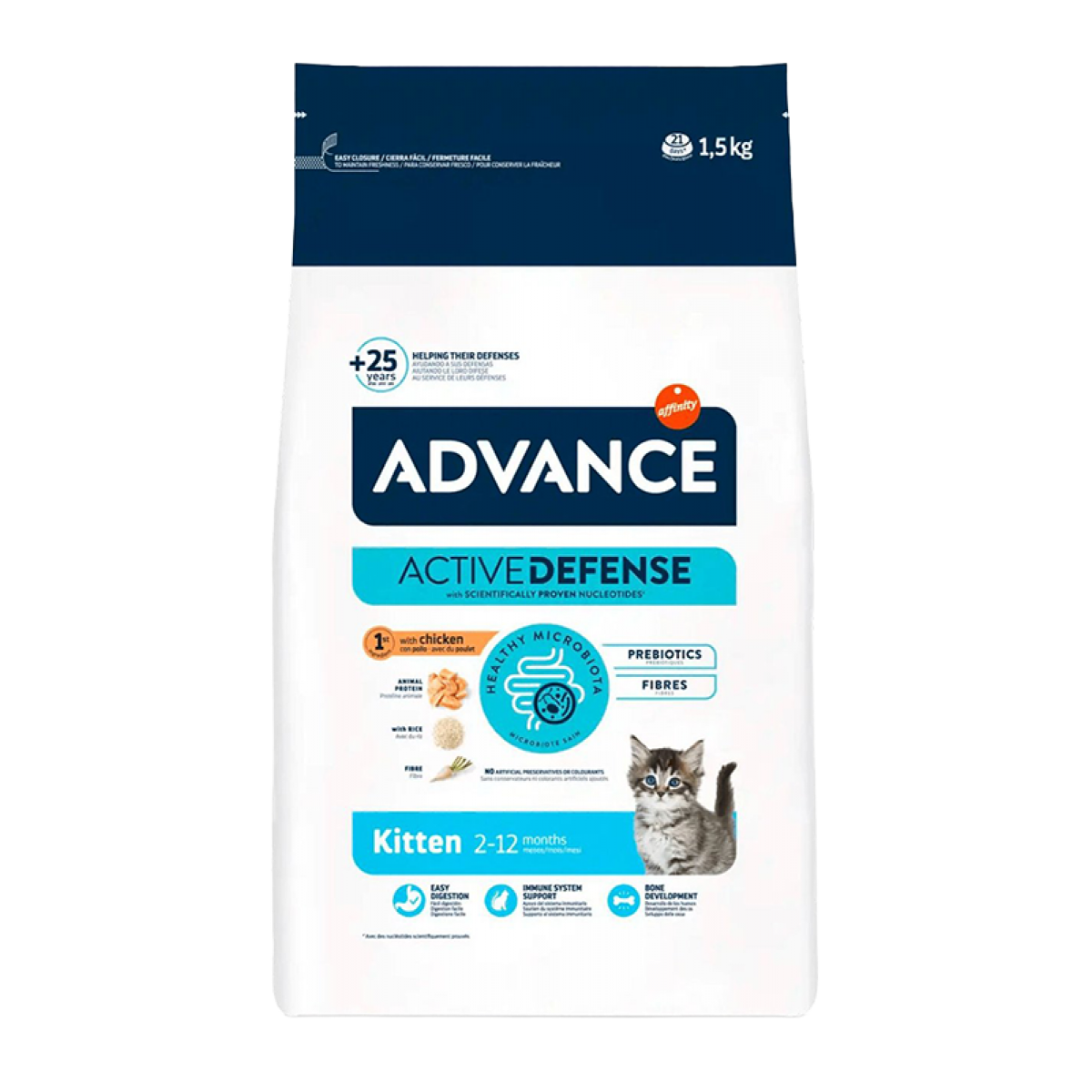 YAVRU KEDİ