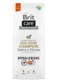 HYPOALLERGENIC KÖPEK MAMASI