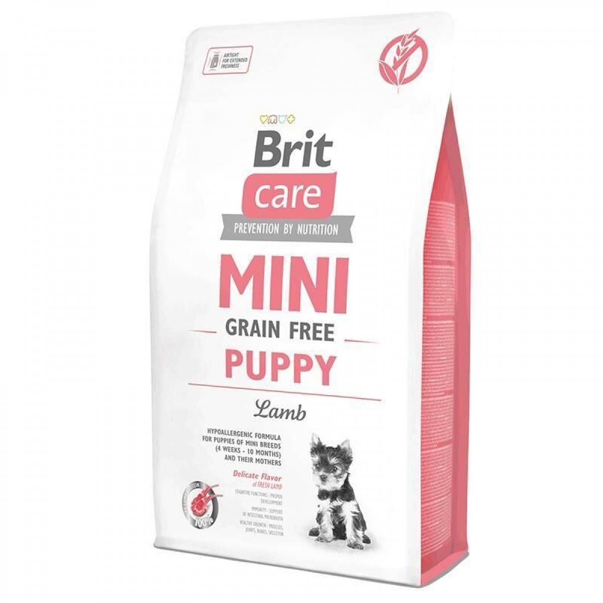 MİNİ KÖPEK MAMASI