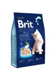 PREMIUM KEDİ MAMASI