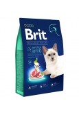 PREMIUM KEDİ MAMASI