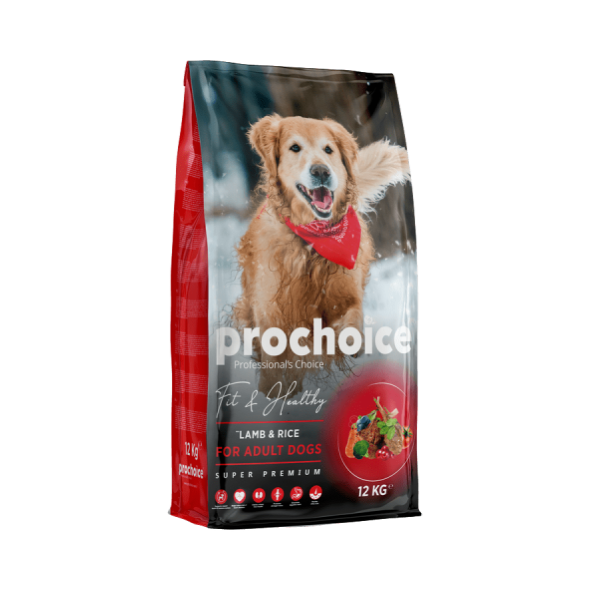 KURU KÖPEK MAMASI