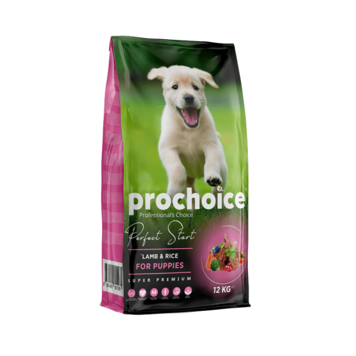 KURU KÖPEK MAMASI