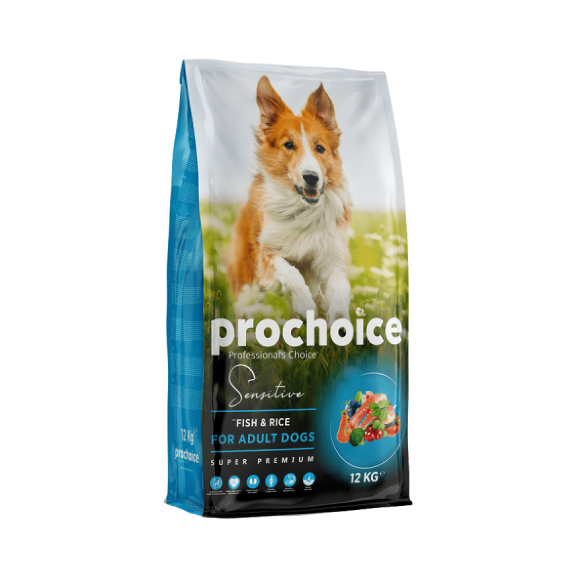 KURU KÖPEK MAMASI