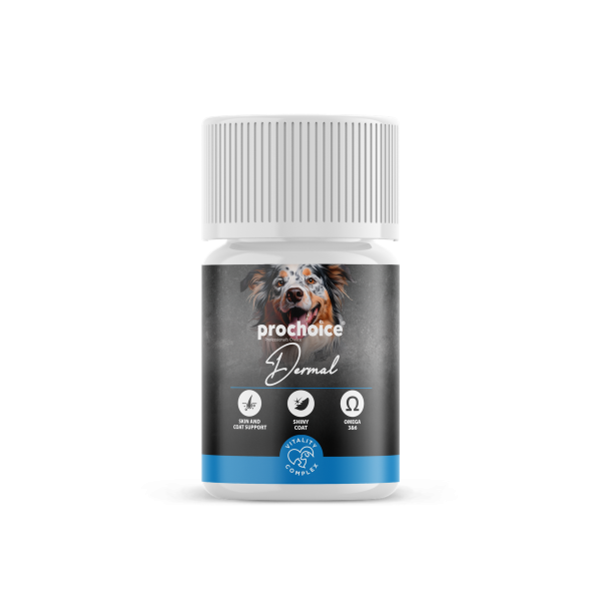 TAKVİYE EDİCİ GIDA KÖPEK