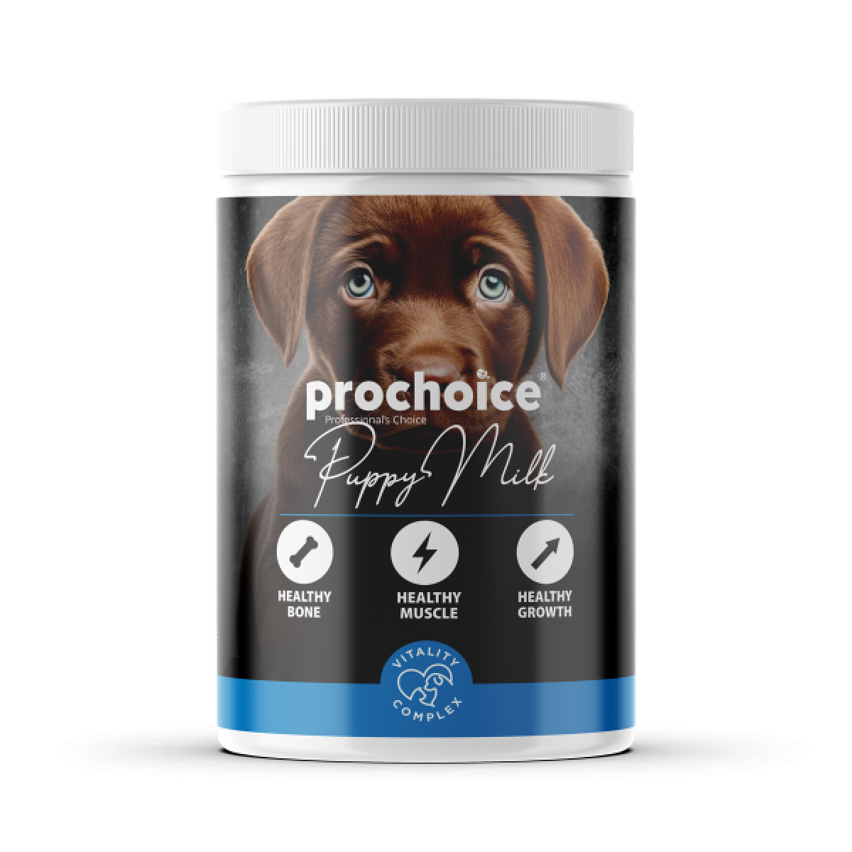 TAKVİYE EDİCİ GIDA KÖPEK