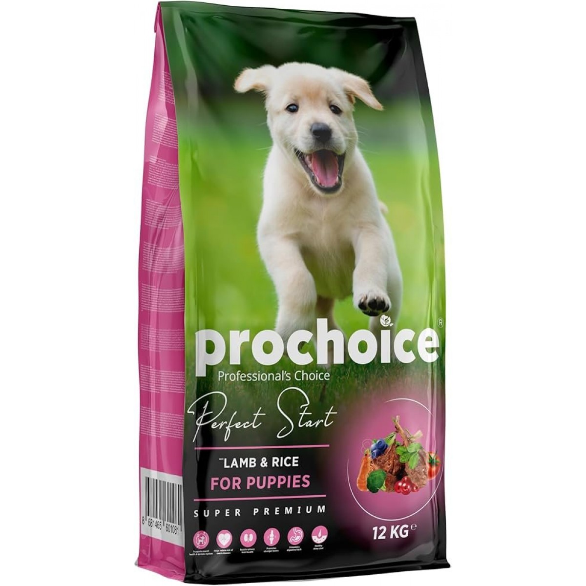 KURU KÖPEK MAMASI