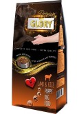 TAKVİYE EDİCİ GIDA KÖPEK