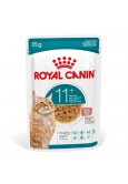 KEDİ MAMASI