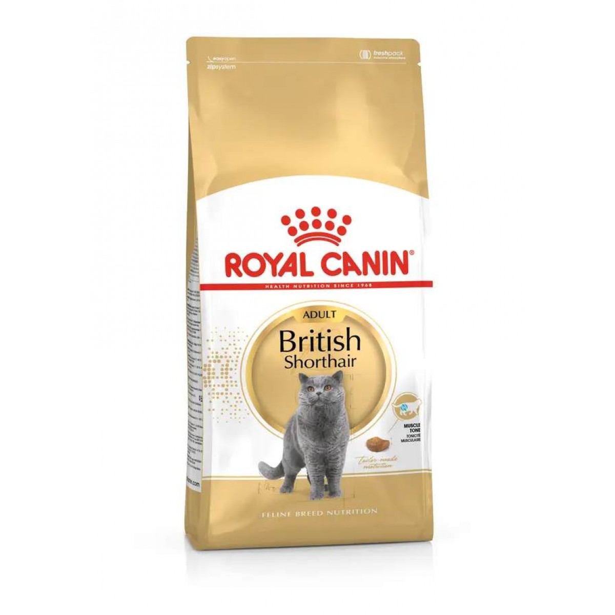 KEDİ MAMASI